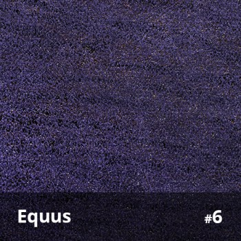Equus 6